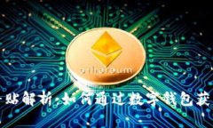 特斯拉数字钱包补贴解析